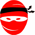 asheville seo ninja logo